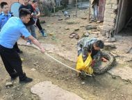 一村民雞舍驚現(xiàn)50斤重蟒蛇 民警與捕蛇師傅聯(lián)手救助