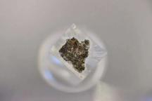 外國科學(xué)家為何看重中國這把“土” 無價(jià)之寶背后的科研開放精神