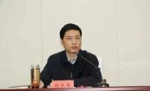 河北省人社厅厅长杨燕伟被查 涉嫌严重违纪违法