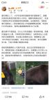 当地辟谣大学生遭熊袭击遇难 实为村民放牧遇害