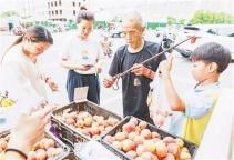河南賣桃小男孩稱堅決不讓買家吃虧 誠信感動網友