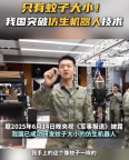 我國成功研發(fā)蚊子大小仿生機器人重量不足0.3克
