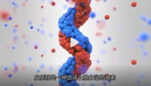 過(guò)勞肥與皮質(zhì)醇有什么聯(lián)系,？皮質(zhì)醇有什么用及如何穩(wěn)定皮質(zhì)醇