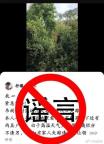 网民编造果树下发现尸体谣言被罚 虚假信息发布者受行政处罚