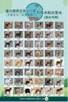 中華田園犬為何是禁養(yǎng)犬 多地政策調(diào)整引發(fā)熱議