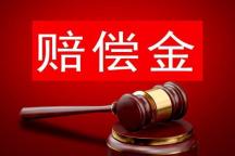 博士稱受脅迫繳賠償款起訴索還被駁回 法院認(rèn)定承諾有效