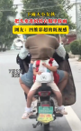 女孩把頭塞進(jìn)媽媽衣服里躲雨,，畫面萌翻網(wǎng)友