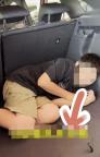 生父回應把孩子塞后備箱：不會道歉，稱未違背孩子意愿