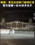 韓國(guó)青瓦臺(tái)迎賓門被噴紅漆 緊急清理修復(fù)完成