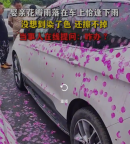 禮花紙遇雨黏車難除，車主“喜提”花車衣