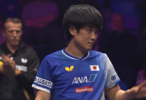 张本智和不敌奥恰洛夫无缘男单8强 日本男单接近全军覆没