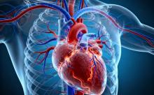 湖北一男子因冠心病去世，生前长期吃他汀，为什么病还是恶化了 综合风险管理的重要性