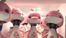 全运会奖牌上也有大湾鸡 习武少年成国民萌宠