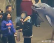 男子海洋馆内抽烟被白鲸喷水浇灭 正义使者出手解气