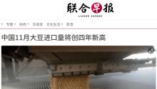 中国11月大豆进口创四年新高 全年有望创新纪录