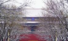 北京：明天下雪基本“穩(wěn)了”！故宮已約滿 周五最高溫-3℃