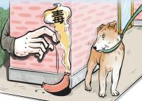 投毒殺犬案的啟示 投毒殺狗是對(duì)整個(gè)社會(huì)的侵害