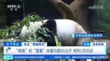 高市早苗发言后，大熊猫前景迷茫 日中关系受考验