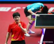 国际乒联主席提条件：樊振东可以参加2028奥运会，但有个前提