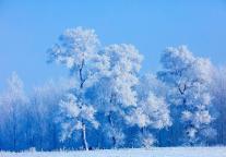 今日大寒 要做这些事 积蓄温暖力量