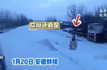 寒夜女子雪地冻8小时险被认成假人