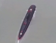 罕见画面！“大黑鱼”紧急出击精准命中目标