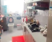 邻居把公共走廊改“自家套房” ：把我家房子放里面了