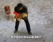 小狗贪玩从楼顶跳下 幸好主人爸爸反应快被稳稳接住