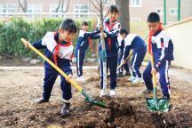 齐鲁大地植树传统已延续千年 千年绿脉生生不息