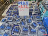 蓝莓个头“一个顶俩” 品种更迭与栽培革新