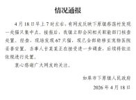 江苏67只猫已妥善安置 当事人受查 宠物医院提供庇护