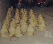 机场大盗潜逃23年后被抓 大数据锁定真凶