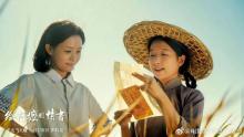 《给阿嬷的情书》导演回应豆瓣评分9.1 情与义的归宿