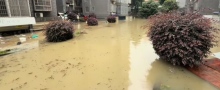 湖南吉首迎暴雨 有小區(qū)車輛被淹 水位已開始下降