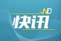 高考語文 名師錦囊助力沖刺