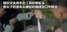 印尼女子被蟒蛇活吞致死 丈夫怒砍蛇头救遗体