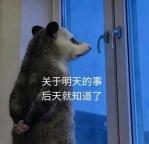爆火的负鼠为啥能成年轻人“嘴替” 幽默化解压力