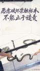 恶意破坏禁触标本不能止于谴责 法律需亮出牙齿