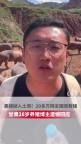 20万人在线“催救猪” 意外引发全网关注