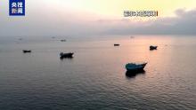 伊朗：将封锁霍尔木兹海峡“非法航道” 直至合法诉求满足
