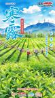 二十四节气中第一个带寒字的节气 宣告凉爽向寒冷过渡
