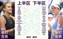 郑钦文武网若赢首轮将碰到萨巴伦卡 赛程引发热议
