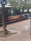 500多名老人被骗1.6亿元，央视曝光“马术骗局”：来投资宣讲会就送鸡蛋