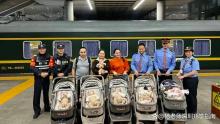 新疆五胞胎见到爷爷奶奶和外婆 36小时火车旅途充满温情