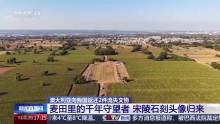 伫立千年的“麦田守望者”头像回家了 宋陵文物归国
