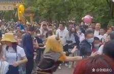 游客吵架“牛魔王”劝架 网友：猴子来了也要叫大哥