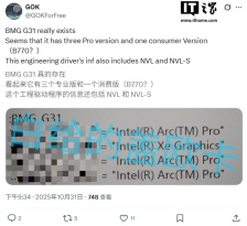英特尔 BMG-G31 被曝将用于四款 GPU 型号，暗示 Arc B770 开发中