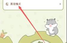 奶酪单词如何开启黑夜模式