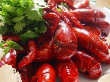 ai小龙虾是什么意思