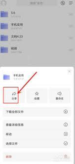 如何通过阿里云盘分享文件